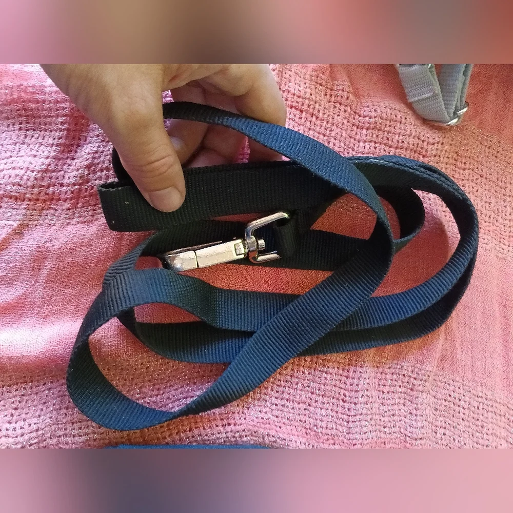 Black Dog Leash